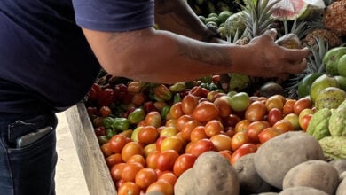Sube el precio del tomate y la zanahoria en el mercado viejo de Maturín