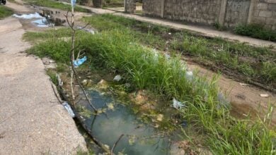 Vecinos del sector 5 de Sabana Grande se quejan por la critica condición de la carrera V