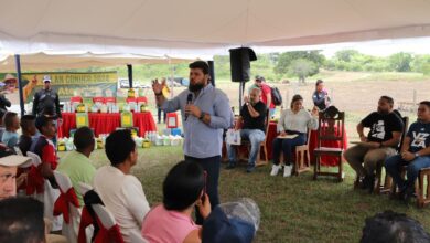 Créditos y herramientas: Foncredemo apoya la producción agrícola local