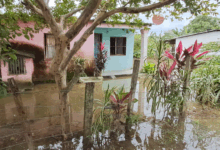 Al menos cinco municipios y más de mil familias afectadas por las lluvias en Cojedes