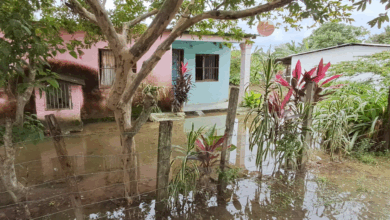 Al menos cinco municipios y más de mil familias afectadas por las lluvias en Cojedes