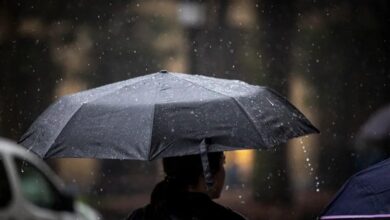 Sociedad Venezolana de Infectología alerta sobre la proliferación de enfermedades en tiempos de lluvia