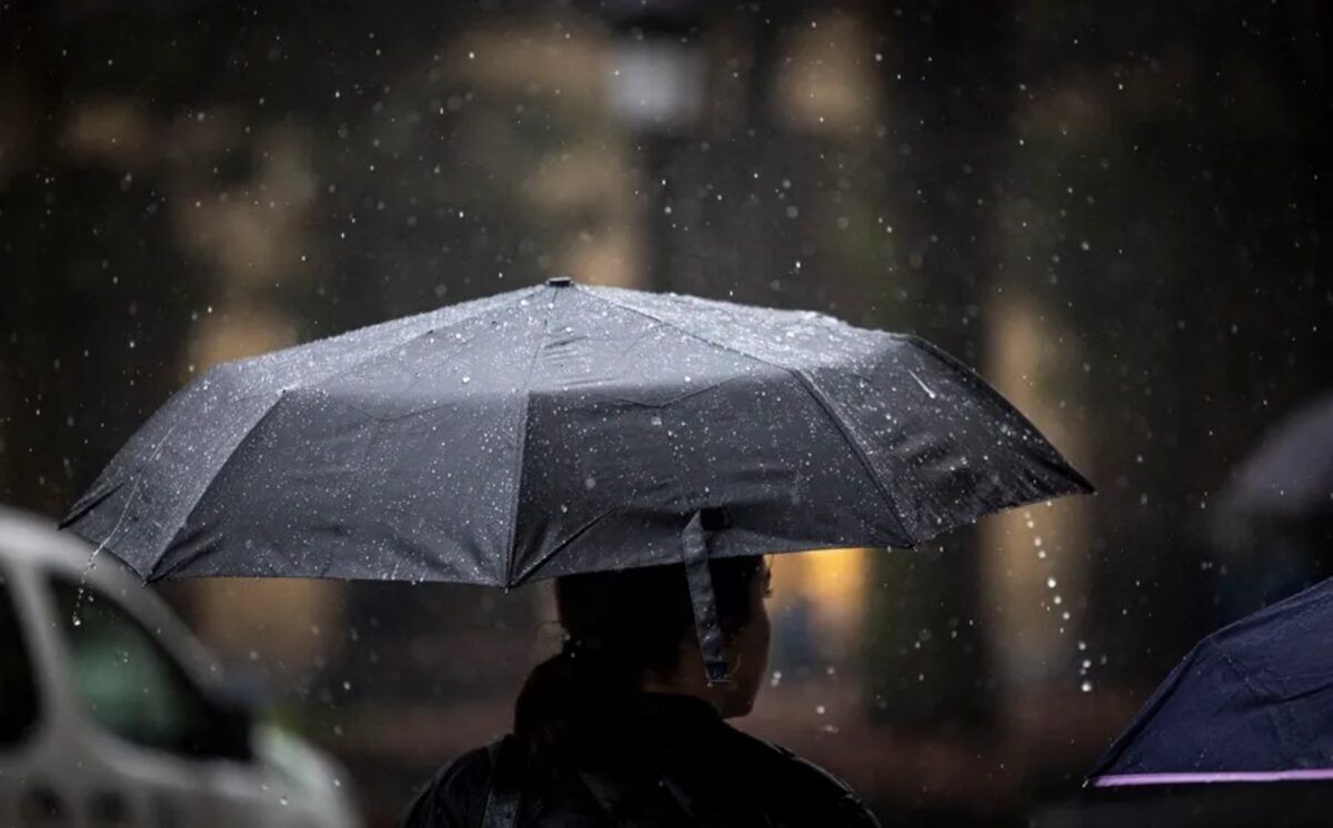 Sociedad Venezolana de Infectología alerta sobre la proliferación de enfermedades en tiempos de lluvia