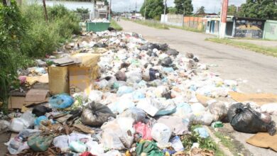 Denuncian irregularidades en el servicio de aseo urbano en 23 de Enero