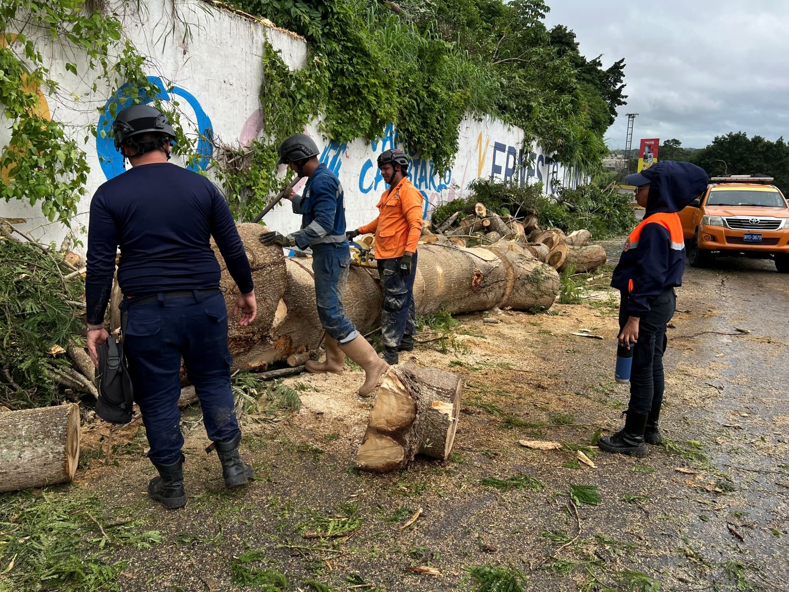 Talan nueve arboles que estaban en riesgo de caer en "El Banqueado"