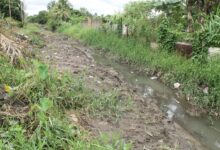 Alrededor de 80 familias del sector Virgen del Carmen denuncian desborde de caño y falta de atención