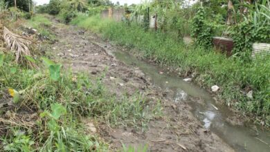 Alrededor de 80 familias del sector Virgen del Carmen denuncian desborde de caño y falta de atención