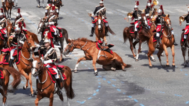 (+Video) Caballos se ponen rebeldes durante desfile militar en París