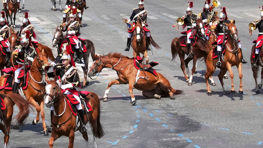 (+Video) Caballos se ponen rebeldes durante desfile militar en París
