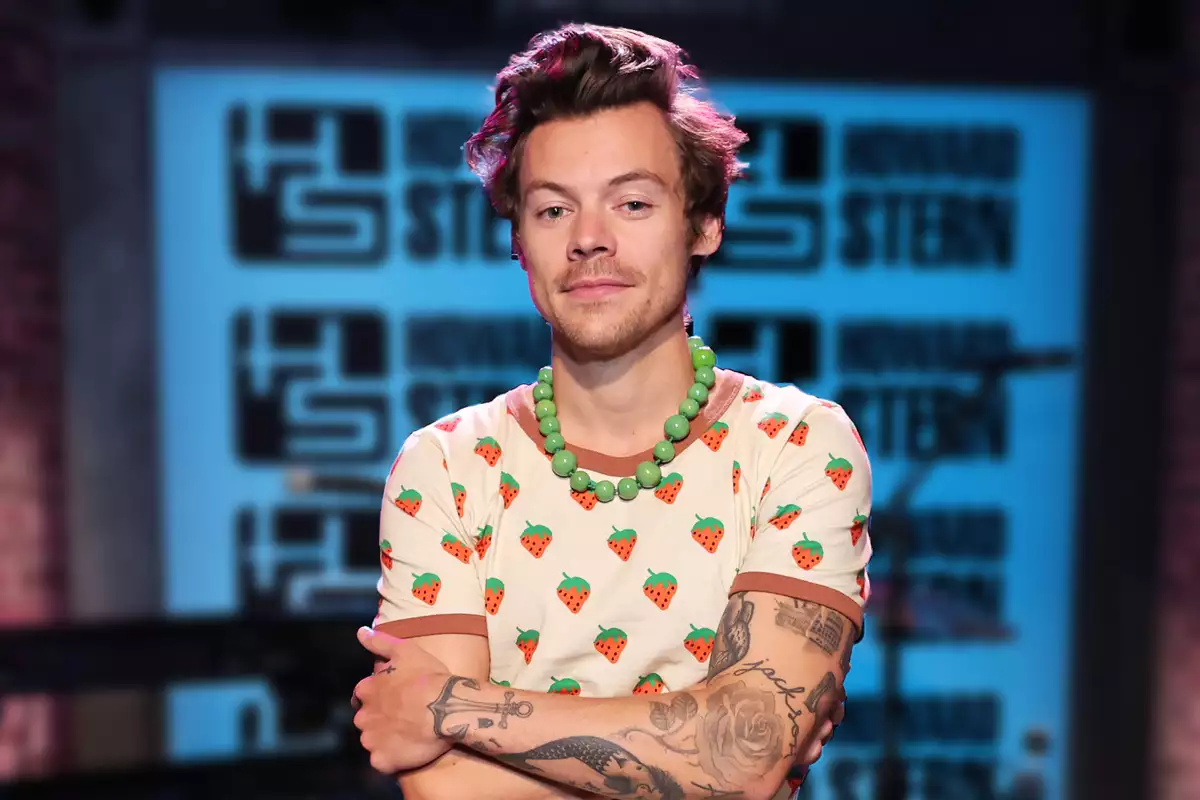 Más allá de la música: Harry Styles incursiona en el mercado de juguetes sexuales