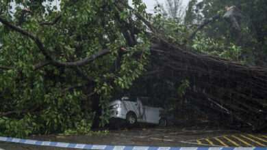 El tifón Wipha derriba árboles y afecta a cientos de vuelos en Hong Kong y el sur de China