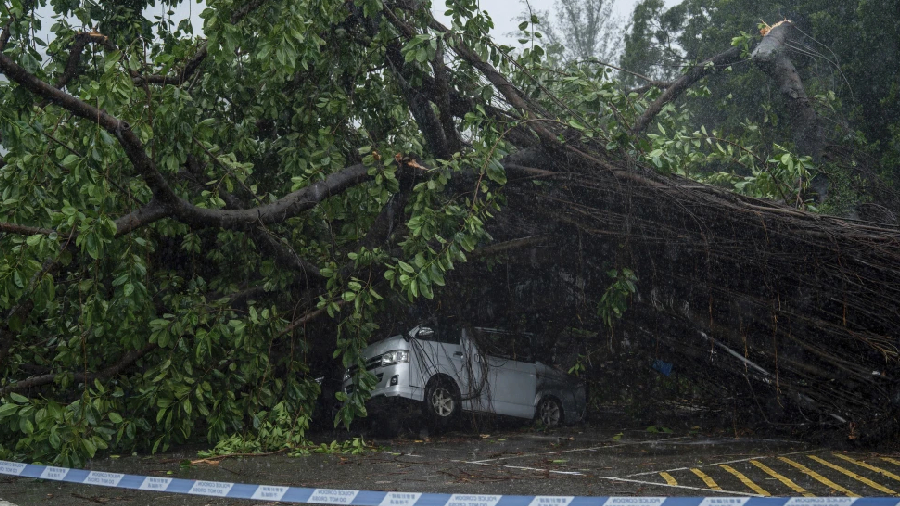 El tifón Wipha derriba árboles y afecta a cientos de vuelos en Hong Kong y el sur de China