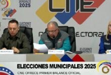Elvis Amoroso informó que se registró una participación de más del 44% en las elecciones municipales