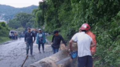 Niño murió en Portuguesa al caerle cables de alta tensión en medio de lluvias