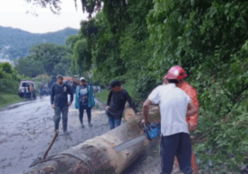 Niño murió en Portuguesa al caerle cables de alta tensión en medio de lluvias