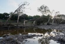 Tragedia en Texas: más de 161 desaparecidos y al menos 109 muertos tras las lluvias