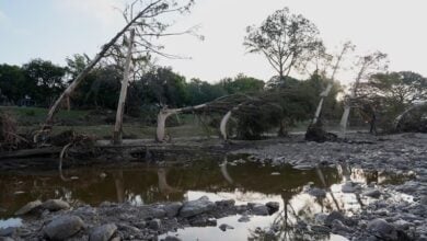 Tragedia en Texas: más de 161 desaparecidos y al menos 109 muertos tras las lluvias