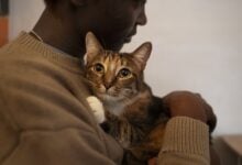 Vínculo familiar: el 97 % integra a sus mascotas como un miembro más