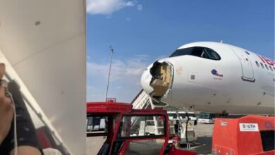 Un buitre provoca el aterrizaje de emergencia de un vuelo comercial