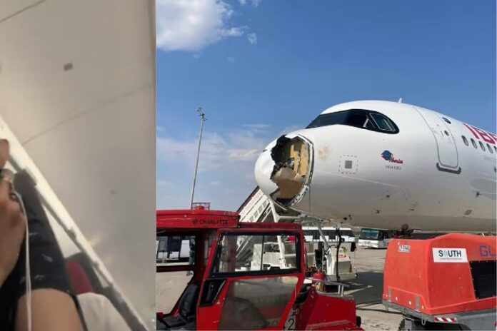 Un buitre provoca el aterrizaje de emergencia de un vuelo comercial