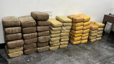 Incautadas 60 panelas de marihuana en Bolívar durante la Operación Escudo Bolivariano