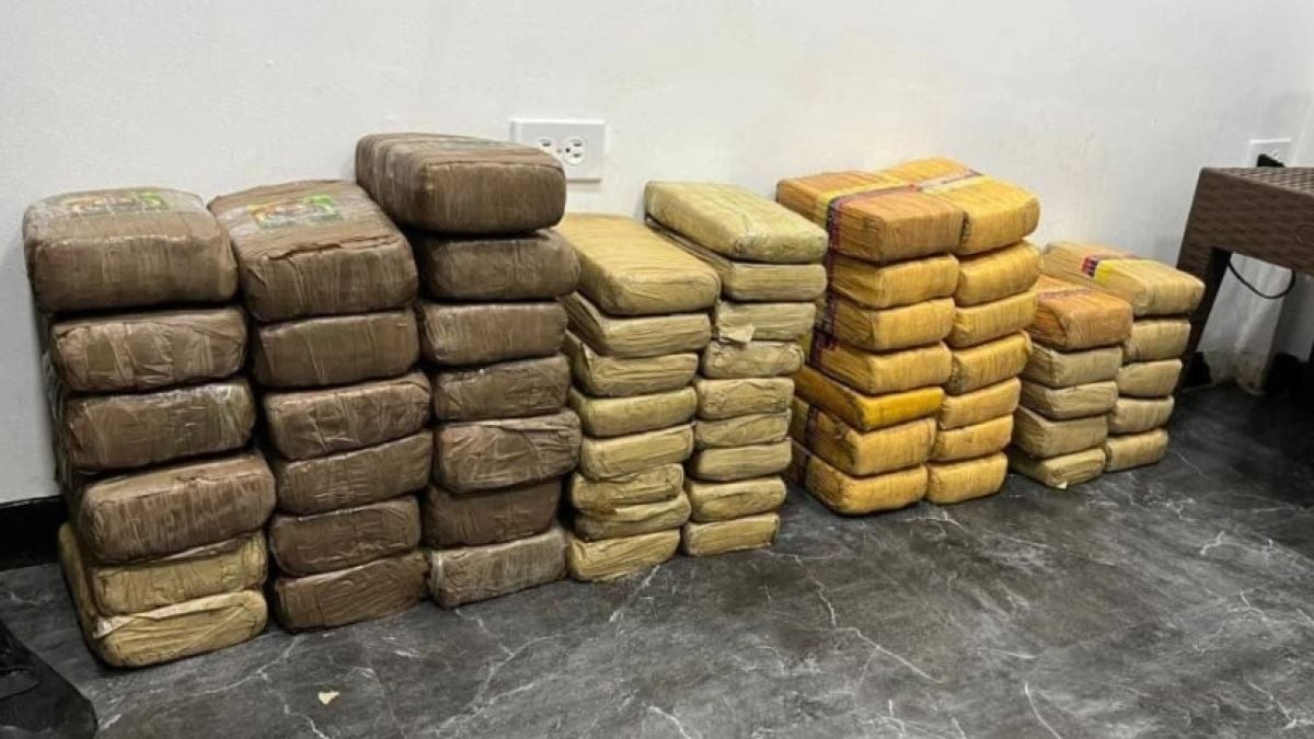 Incautadas 60 panelas de marihuana en Bolívar durante la Operación Escudo Bolivariano