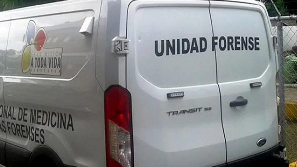 Violencia doméstica: Hombre apuñala a su pareja y luego se dispara; la mujer se recupera