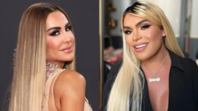 El comentario de Ninel Conde que desató la furia de los fans de la influencer Wendy Guevara
