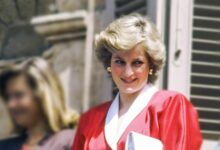 28 años sin Lady Di: La herencia que sus hijos no recibieron