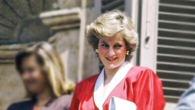 28 años sin Lady Di: La herencia que sus hijos no recibieron