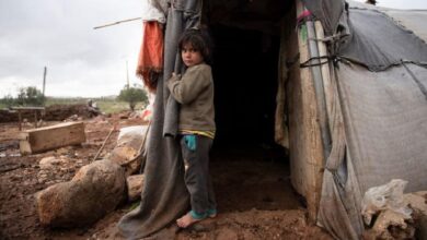 Sequía sin precedentes desencadena una crisis alimentaria en Siria