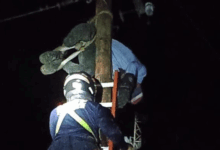 Hallan cadáver de hombre en poste eléctrico en Anaco