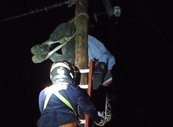 Hallan cadáver de hombre en poste eléctrico en Anaco