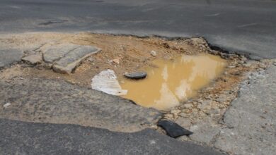 Insoportable están los huecos en la avenida José Tadeo Monagas de Las Cocuizas