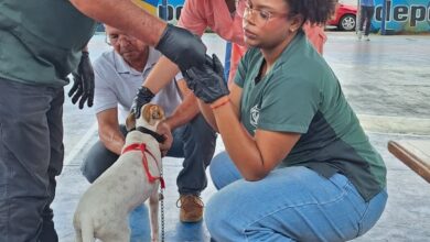 Brindan atención a más de 80 mascotas en El Furrial