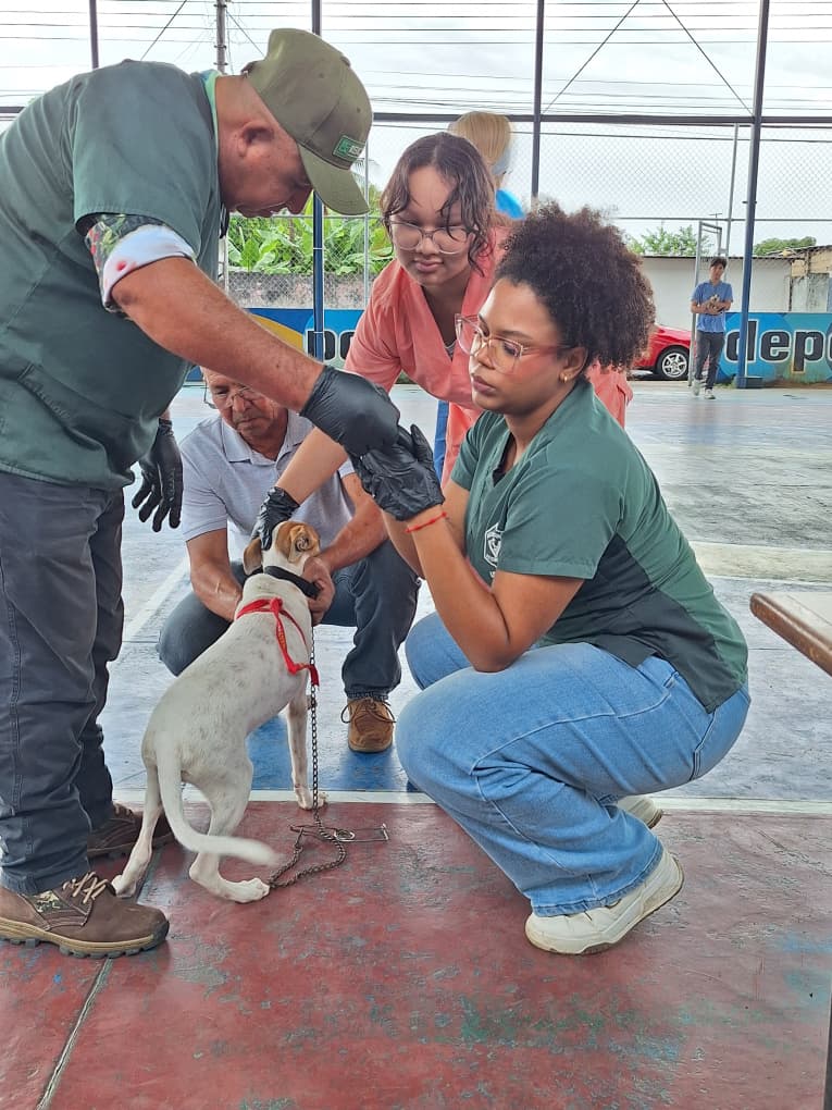 Brindan atención a más de 80 mascotas en El Furrial