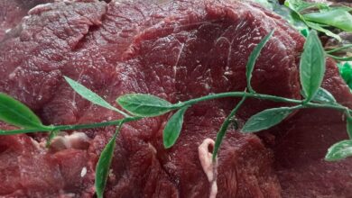 Fedenaga asegura el abastecimiento de carne en el país