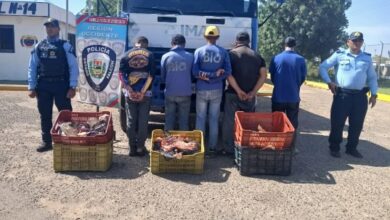 Capturan a cinco sujetos por hurto de carne en Falcón