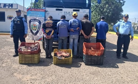 Capturan a cinco sujetos por hurto de carne en Falcón