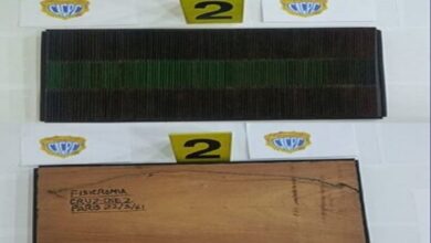 Detenida pareja por falsificar y vender obras de Carlos Cruz-Diez