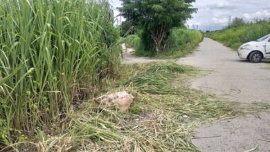 Hallan cadáver con herida de bala en terreno baldío de Aragua
