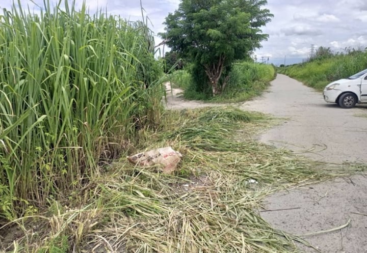 Hallan cadáver con herida de bala en terreno baldío de Aragua
