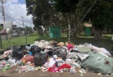 Acumulación de basura en el parque Padilla Ron tiene alrededor de dos semanas