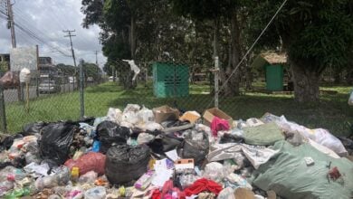 Acumulación de basura en el parque Padilla Ron tiene alrededor de dos semanas