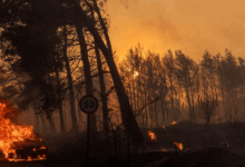 Incendios en Grecia obligan a la evacuación de miles de personas