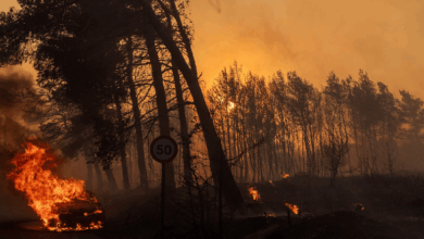 Incendios en Grecia obligan a la evacuación de miles de personas