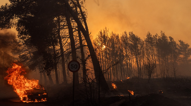 Incendios en Grecia obligan a la evacuación de miles de personas