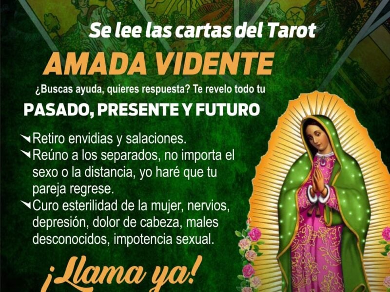 AMADA VIDENTE