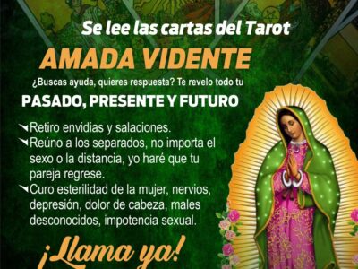 AMADA VIDENTE