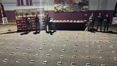 Incautan casi 200 envoltorios de presunta marihuana en Apure